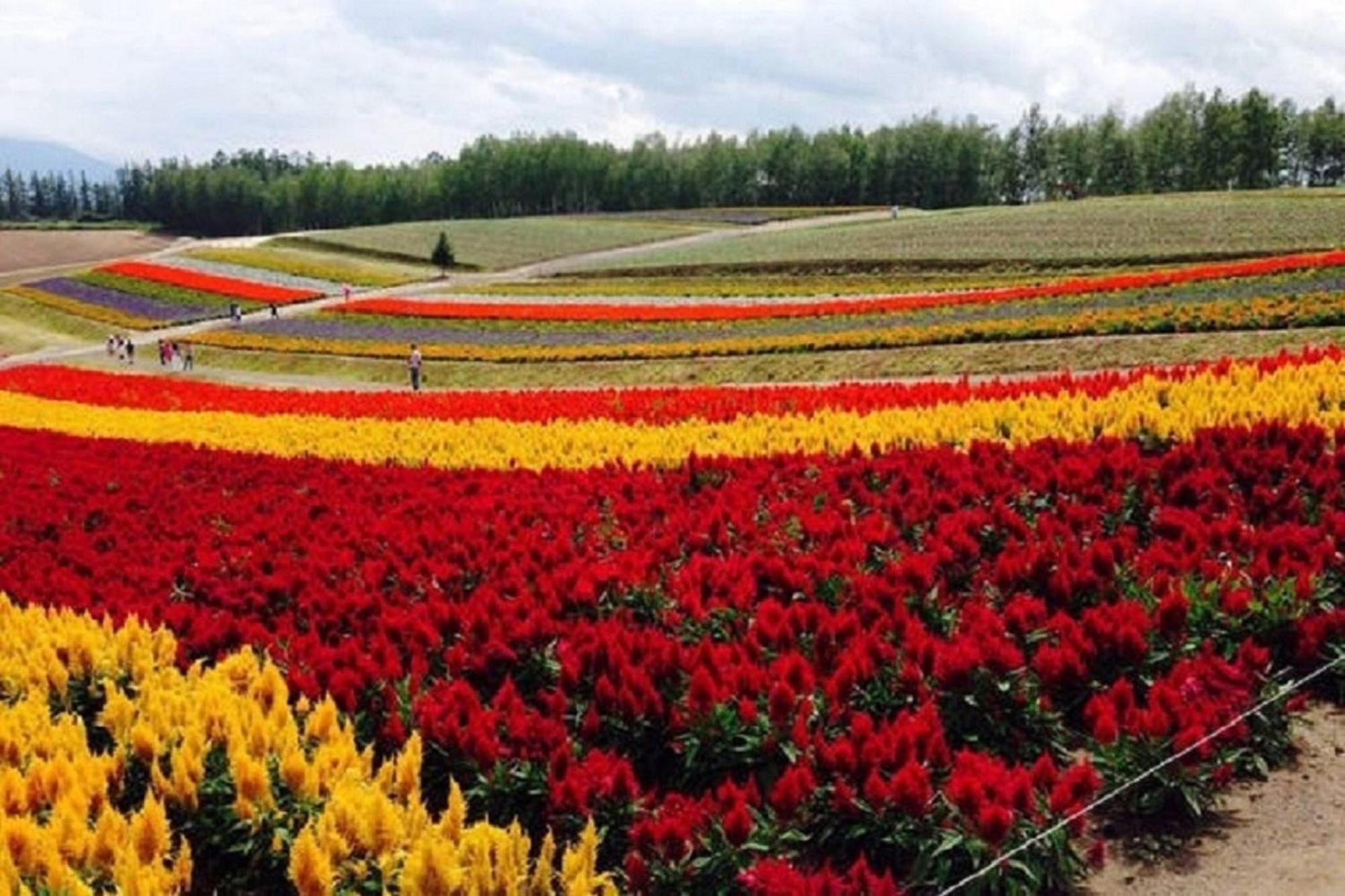 Ark City Asahikawa - Vacation Stay 8528 ภายนอก รูปภาพ